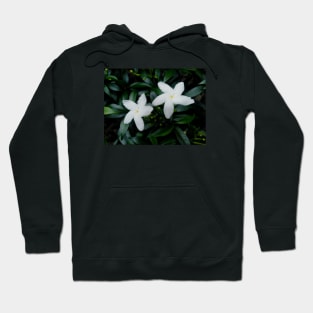 Crepe Jasmine (Pinwheel Flower) Plant Hoodie